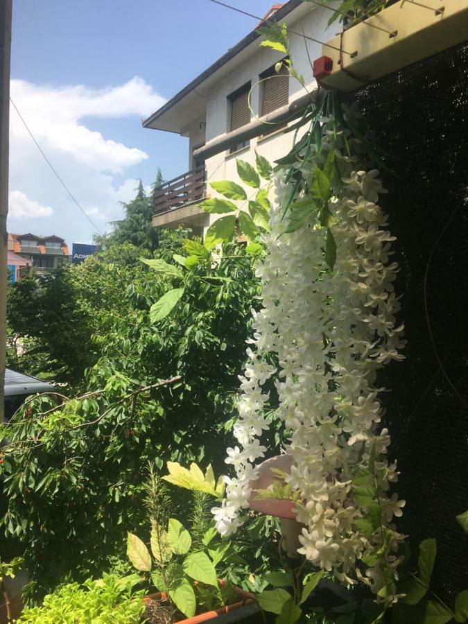 Ani Apartment Ohrid Ngoại thất bức ảnh